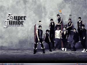 Super JuniorⅢ电脑主题