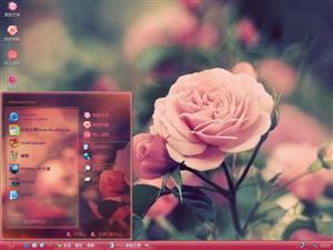 玫瑰花花语电脑主题